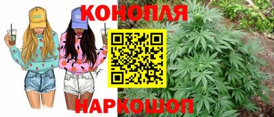 соль ск Новозыбков
