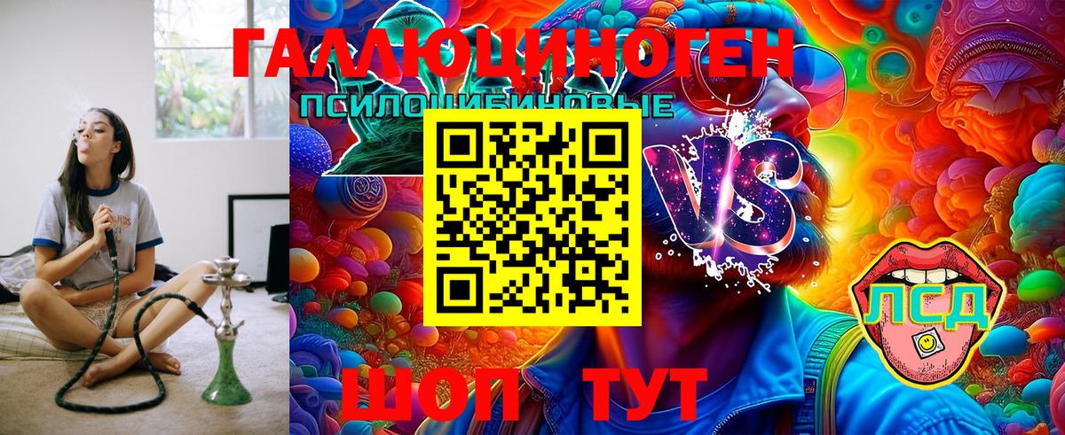 закладка  Галлюциногенные грибы GOLDEN TEACHER  Вход с VPN  Самара  Галлюциногенные грибы мицелий 